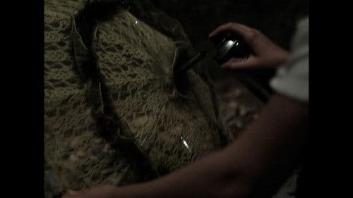 AA-PROXIMA-SUN Bild 3