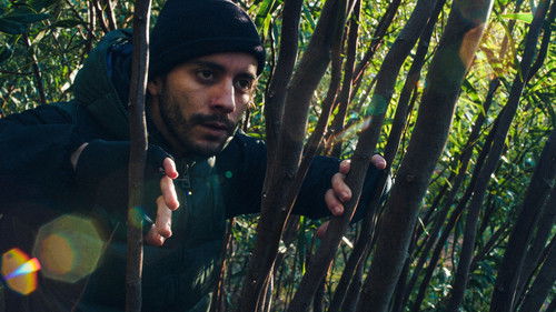 O Intrépido Explorador Bild 1