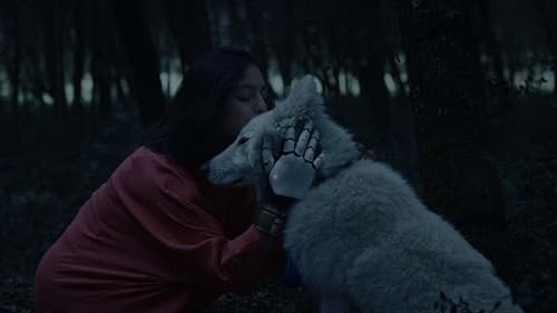 Black Hollow Cage Bild 1