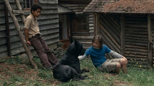 Allen Sunshine Bild 1