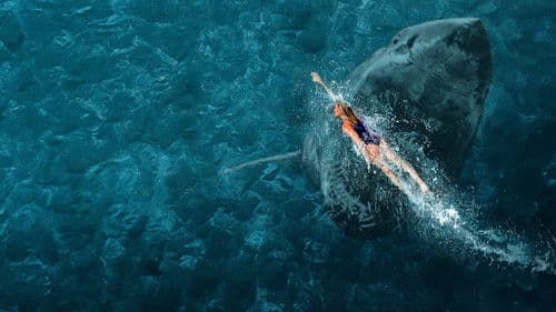 Surviving Jaws Bild 2