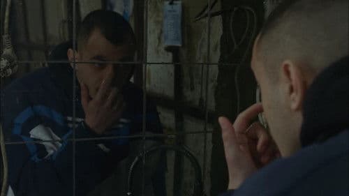 Черно Куче Bild 4