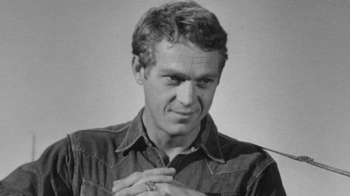 Die Lady und der Tramp Bild 7