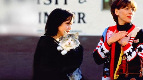 Dieser verflixte Kater Bild 5