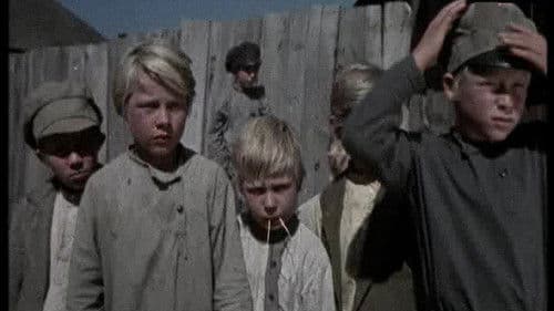 Тайна зеленого бора Bild 1