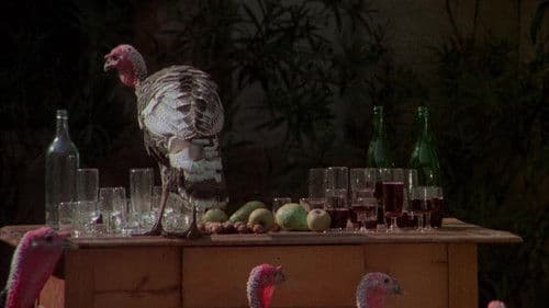 Die große Orgie Bild 2