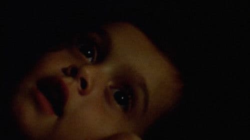 When We Lived in Miami Bild 6