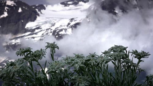 Wunder der Erde Bild 5