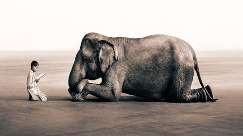 Ashes and Snow Bild 2