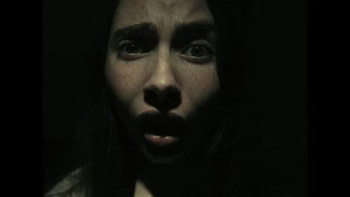 Playland: A Dream-O-Vision Experience Bild 5