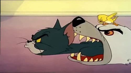 Zwei Kleine gegen Tom Bild 1