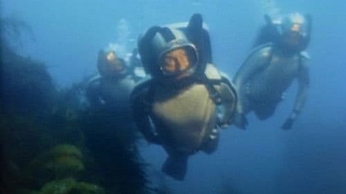 Jacques Cousteau: Rediscover the World | New Zealand, Tahiti, Cuba, & Cape Horn Bild 1