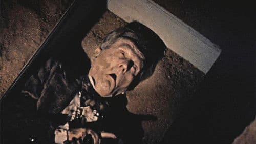 Lebendig begraben Bild 5