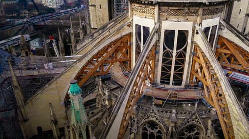 Saving Notre Dame Bild 2