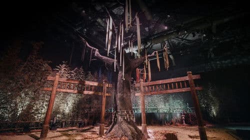 Physical: Asia Bild 8