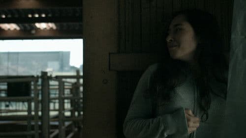 Anonymous Animals Bild 2