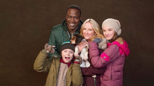 Das Weihnachts - Chaos Bild 3