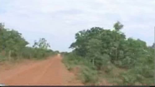 A Terra E O Tempo - Vozes Do Quilombo Bild 1