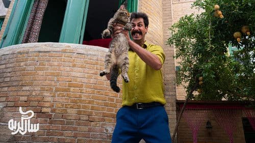 سال گربه Bild 4