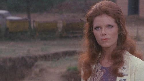 Das Geheimnis des gelben Grabes Bild 6