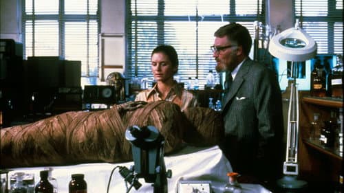 Das Erwachen der Sphinx Bild 7