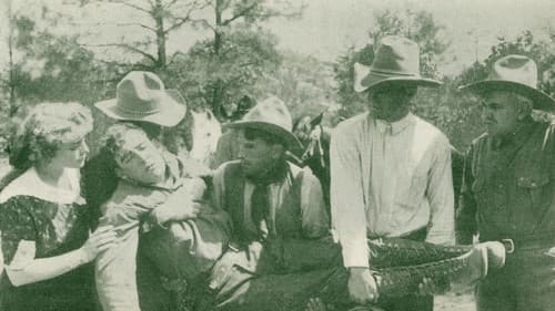 Made a Coward Bild 1