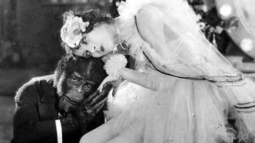 The Monkey Talks Bild 3