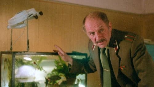 Беспредел Bild 4