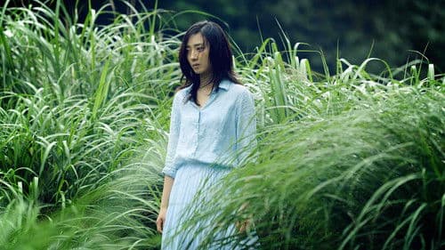 德布西森林 Bild 1