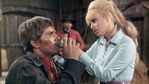 Tampeko – Ein Dollar hat zwei Seiten Bild 1