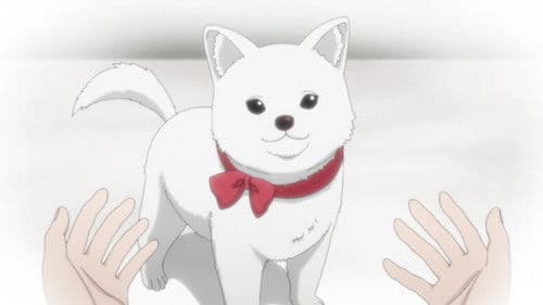 Kinokoinu Mushroom Pup Bild 2