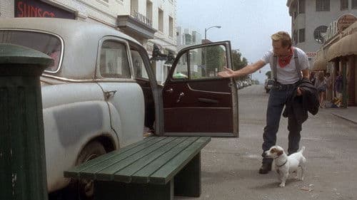 Blackout - Ein Detektiv sucht sich selbst Bild 8