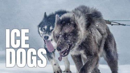 Ice Dogs: The Only Companions Worth Having Bild 2