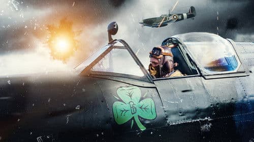 The Shamrock Spitfire Bild 7