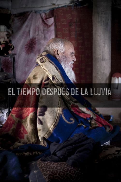 El temps després de la pluja