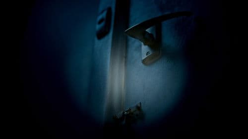 Finding Light Bild 1