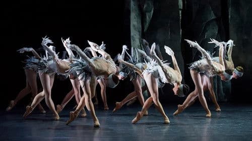 Lac (After Swan Lake) Bild 1