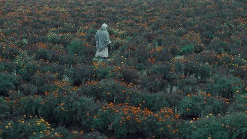 खाल बछड़ा Bild 1