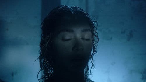 SHIFTING VISIONS Bild 1