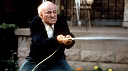 Familien-Bande Bild 3