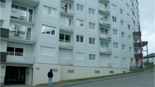 Permanent Green Light Bild 6