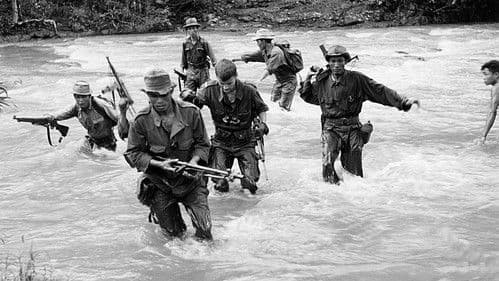 Die 317. Sektion Bild 4