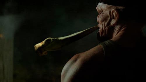 Shiver Me Timbers Bild 4