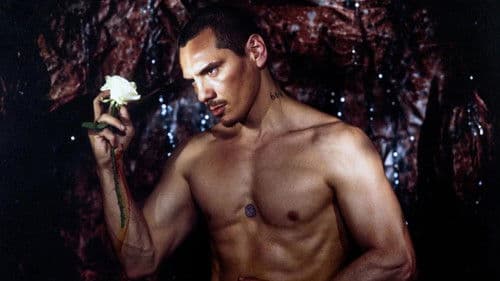 The Material Boy Bild 1