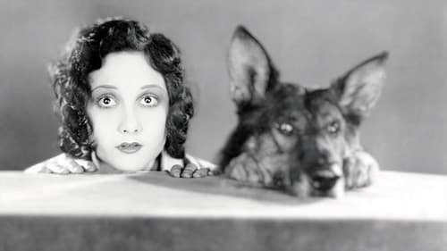 Where the North Begins Bild 4