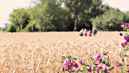 The Woman in the Room Bild 2