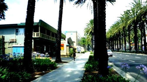 Suck My Blood Bild 3