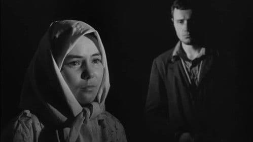 Совість Bild 5