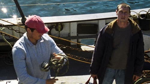 Rose of Nevada Bild 4