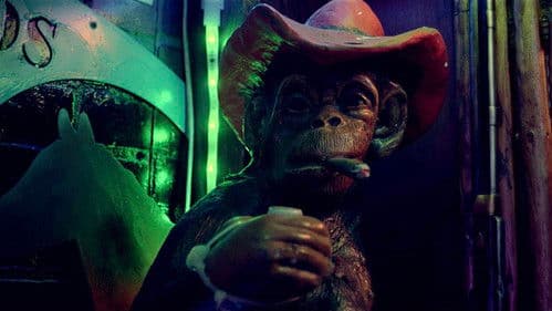 Nightswimming for Daydreamers Bild 4